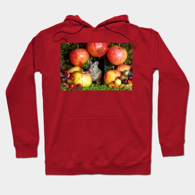 wild  house mouse and  apples Hoodie by Simon-dell